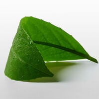 CK ONE ESSENCE  100ml-223848 CK ONE ESSENCE  100ml-223848 6